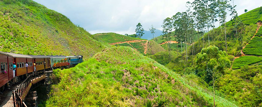 sri-lanka-delights-6229