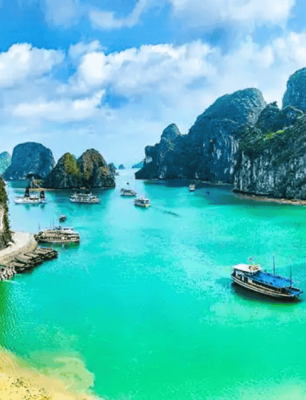 Untitled design (10)